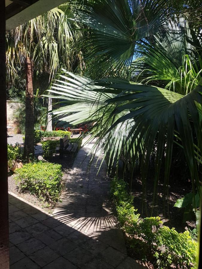 "Nueva La Grappa" Hotel & Posada Altos Dış mekan fotoğraf